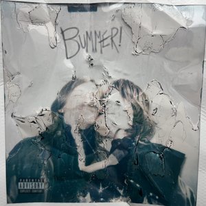 “Bummer!”的封面