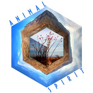 “Animal Spirit”的封面