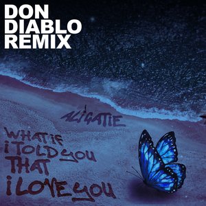 Image for 'What If I Told You That I Love You (Don Diablo Remix)'