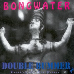 Image for 'Double Bummer (disc 2)'