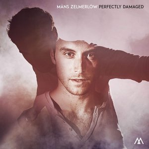 Image pour 'Perfectly Damaged'