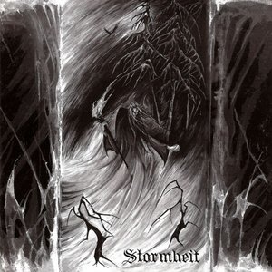 “Stormheit”的封面