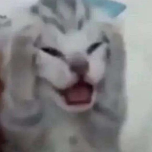 Fekph