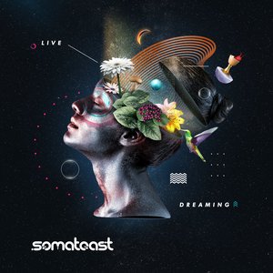 Image for 'Live Dreaming'