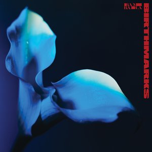 Image for 'Birthmarks'