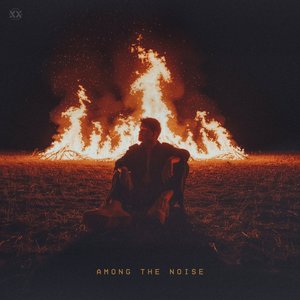 Image for 'Among The Noise'