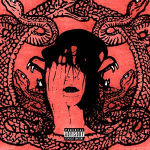 Image for 'a snakes blessing'