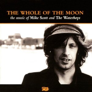 “The Whole of the Moon: The Music of the Waterboys & Mike Scott”的封面