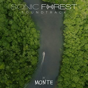 “Sonic Forest”的封面