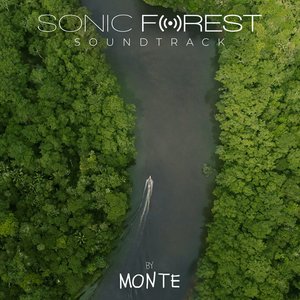 'Sonic Forest' için resim