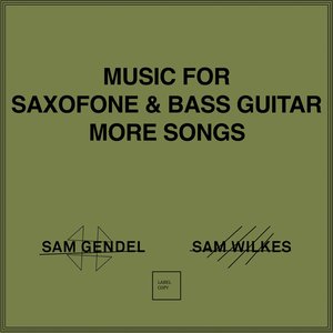 Image for 'Music for Saxofone & Bass Guitar More Songs'
