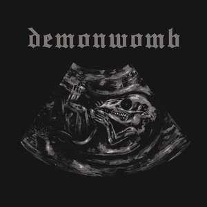 Image for 'Demonwomb'
