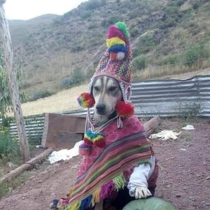 paquitadaxuxa