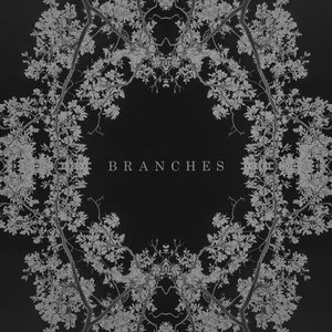 Image for 'Branches'