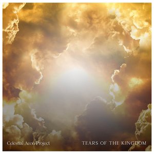 'Tears of the Kingdom'の画像