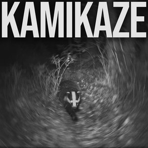 Image for 'Kamikaze'