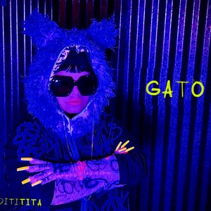 Image for 'Gato'