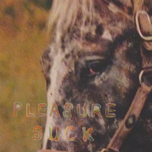 Image for 'pleasure suck'