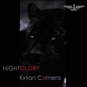 Image for 'Nightglory'