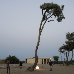 Image for 'Speed Of Life'
