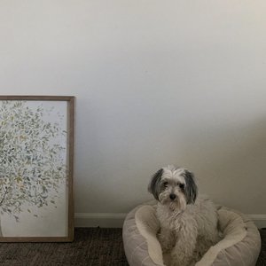 Изображение для 'jemi'