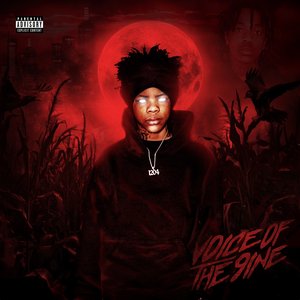 Image for 'Voice Of The 9ine'