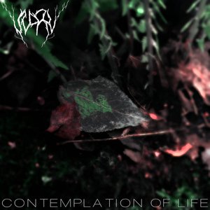 Image for 'Contemplation of Life'