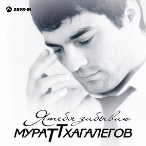 Immagine per 'Я тебя забываю'