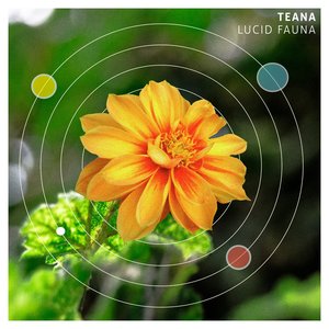 'Lucid Fauna'の画像