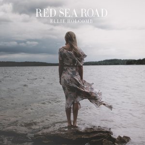 Bild für 'Red Sea Road'