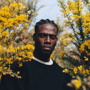 “Lil Silva”的封面