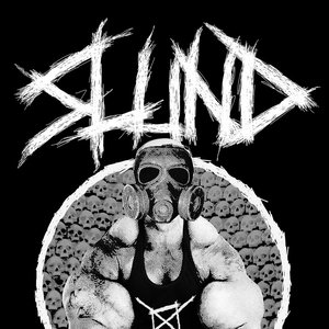 Image for 'Slund'