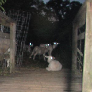 Image for 'Some Somehow Known Unknown'