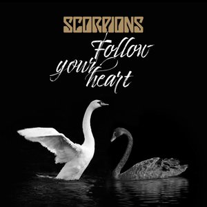 Zdjęcia dla 'Follow Your Heart'