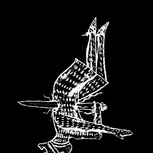 Image for 'NIMBIFER'