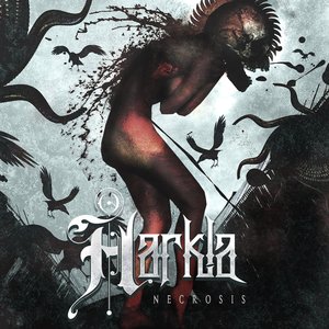 Image for 'Necrosis'