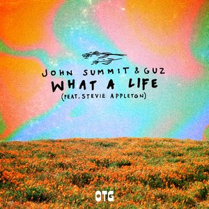 Image for 'What A Life (feat. Stevie Appleton)'