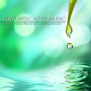 Изображение для 'Naturescapes Music - Mindfulness Meditation Songs, Sounds of Nature Rain & Sea Soothing Melodies'