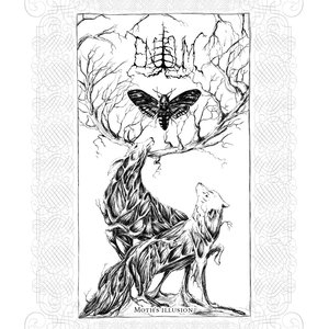 Bild für 'Moth's Illusion'