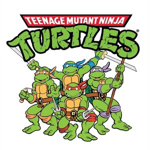 Image pour 'Teenage Mutant Ninja Turtles Theme Song'