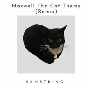 Image for 'Maxwell The Cat Theme (SAMString Remix)'