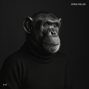 Immagine per 'Open Fields'