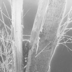 “Ghül”的封面