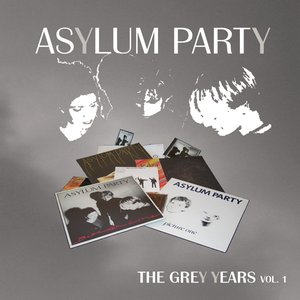 Image for 'The Grey Years Vol. 1'