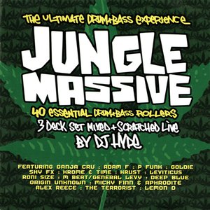 Image for 'Jungle Massive'