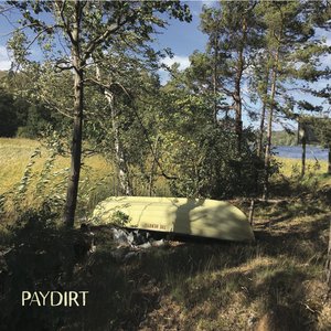 Image for 'Paydirt'