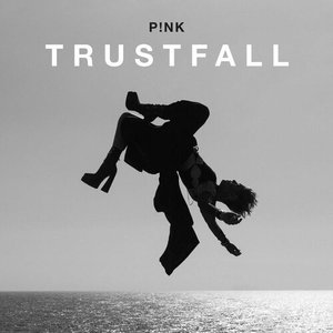 Image for 'TRUSTFALL'