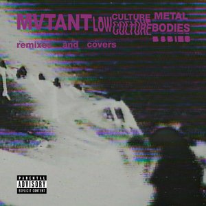 “Low Culture Metal Bodies (remixes and covers)”的封面