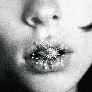 Image for 'everything (you my)'