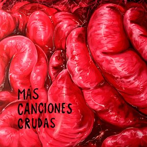 Image for 'Más Canciones Crudas'